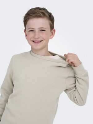 Sweat col rond beige ONLY & SONS junior ado garçon, coupe régulière, 65% coton 35% polyester